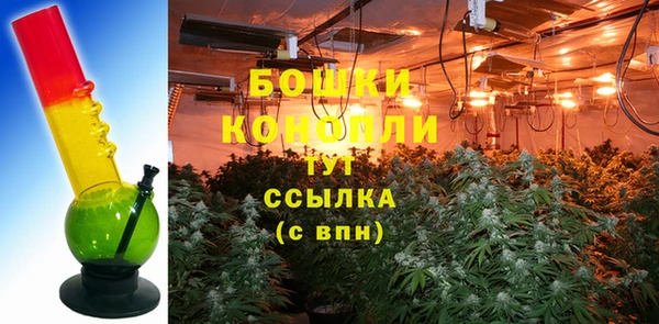 дживик Аркадак
